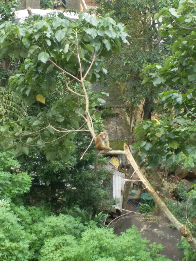 Kandy Dilruk Homestay Екстер'єр фото